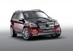 Mercedes-Benz CK55 RS Rascasse Aigner by Carlsson 2009 года